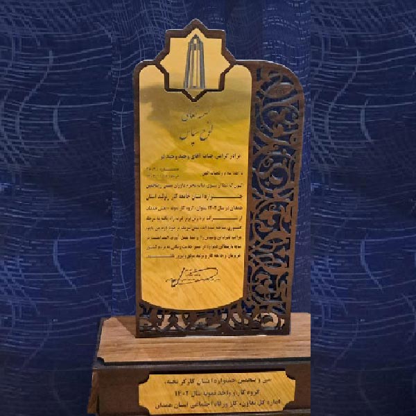 گروه کاری نمونه استان همدان